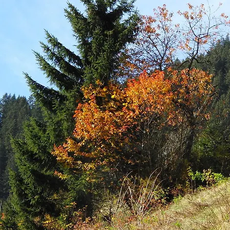 Apart Garni Astrada