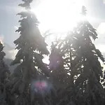 Gæstehus Garni Astrada 4*