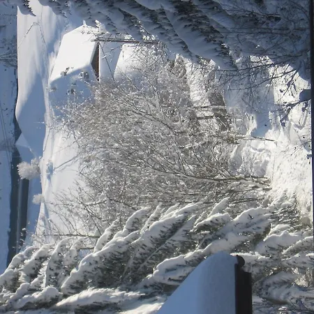 招待所 Garni Astrada 卡普尔